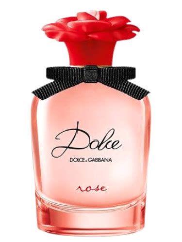 dolce gabbana rosa|dolce gabbana pour femme.